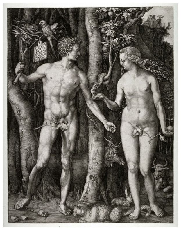 Albrecht+Durer-1471-1528 (96).jpg